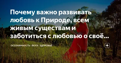 11 мая весь мир отмечает День любви к природе – СампоТВ 360°