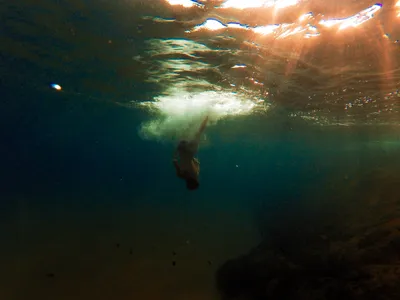 Медитация под водой, или Почему все фридайверы — счастливые люди | Вернись  другим: ретриты, экспедиции и треки в разных уголках мира