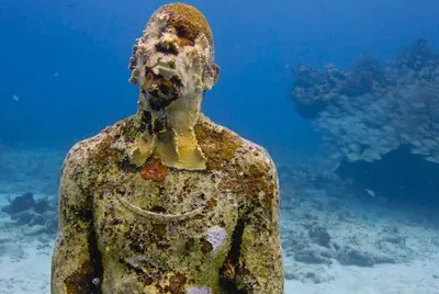 Бесплатные стоковые фото на тему вода, люди плавают под водой, море, озеро,  плавание, подводный, река, человек