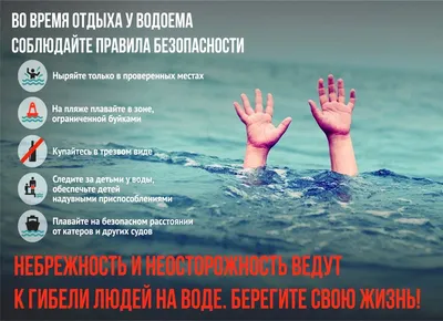 Акулы и люди под водой. | Рыбалка в Ленинградской области. | Дзен