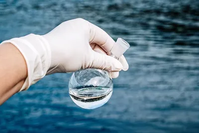 Загрязнения воды. Их виды и способы борьбы с ними. - Фильтры для воды