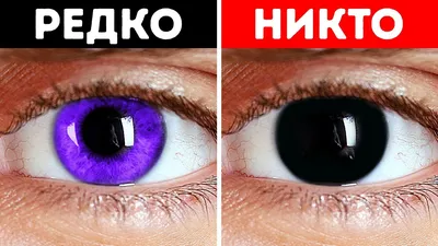 Почему у людей нет фиолетовых глаз? + другие факты о теле! - YouTube