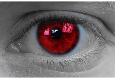 В мире существует всего несколько процентов людей с таким редким цветом глаз  - Рамблер/новости