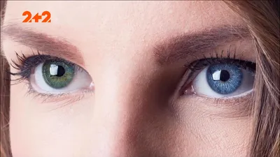 Журналисты узнали, почему людей с разным цветом глаз в Голливуде больше  всего (видео) | УНИАН