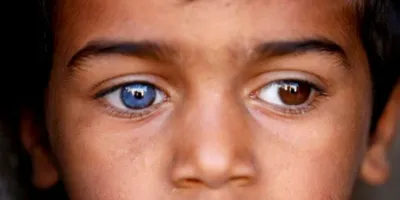 В Индонезии обнаружили племя людей с аномально синими глазами (ФОТО):  читать на Golos.ua