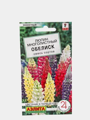 ЛЮПИН • Большая российская энциклопедия - электронная версия