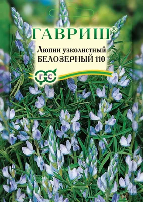 Сидераты Гавриш 135306 - купить по выгодным ценам в интернет-магазине OZON  (840236549)