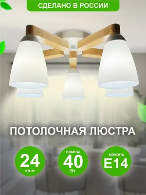 Потолочная люстра Lumion Danika с лампочками 4593/8C+Lamps E27 P45 купить в  Саратове, низкие цены, отзывы в интернет-магазине «Люстроф»
