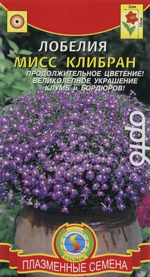 Семена цветов Лобелия \"Мисс Клибран\", О, 0,03 г (1766506) - Купить по цене  от 6.68 руб. | Интернет магазин SIMA-LAND.RU