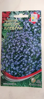 Лобелия Миссис Клибран, 0,03г от 19 руб. в Москве. Звоните!