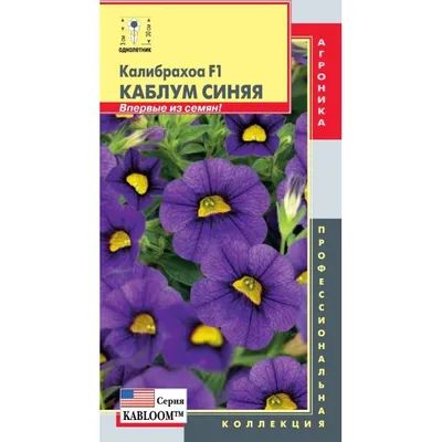 Отзыв о Семена Аэлита Лобелия ампельная \"Сапфир\" | Уникальное украшение  вашего сада