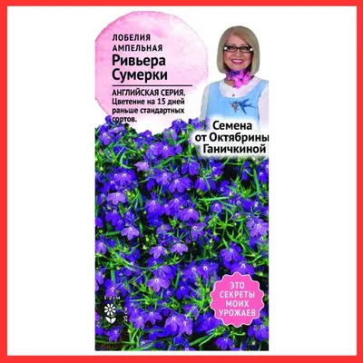 Лобелия: описание, фото, применение, виды и сорта | Огородники