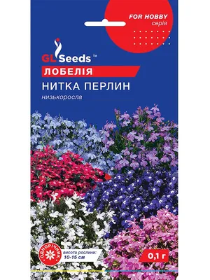 Лобелия \"Жемчужная нить\", семена, цветы купить по цене 49 ₽ в  интернет-магазине KazanExpress