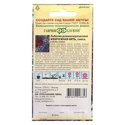 Цветы Лобелия Жемчужная нить (Гавриш) — купить в городе Новосибирск, цена,  фото — Семена Успеха