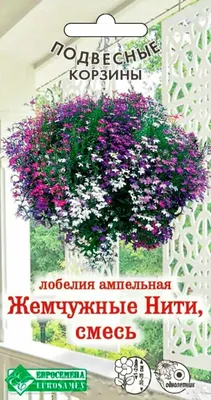 Семена цветов Лобелия Жемчужная Нить 0.1 гр (Поиск) цв — купить по выгодной  цене в интернет-магазине Колорлон