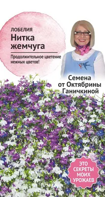 Купить семена Лобелия Жемчужная нить от Гавриш, 4156