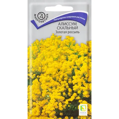 Лобелия \"Жемчужная нить\", семена, цветы купить по цене 49 ₽ в  интернет-магазине KazanExpress