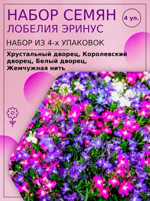 Купить Лобелия Эринус Жемчужная нить Гавриш по цене 27 руб. в Иркутске в  интернет-магазине | РОЩА