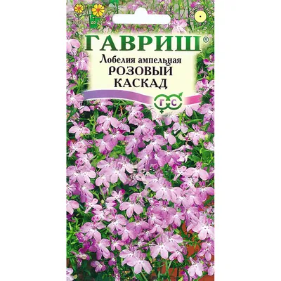 лоберия эринус; семена растений; семена лобелия; набор семян цветов; семена  цветов; набор семян лобелия;