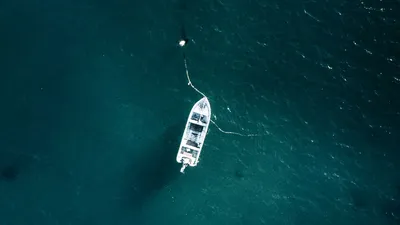 В Венеции спустили на воду лодку в форме скрипки :: Новости :: ТВ Центр