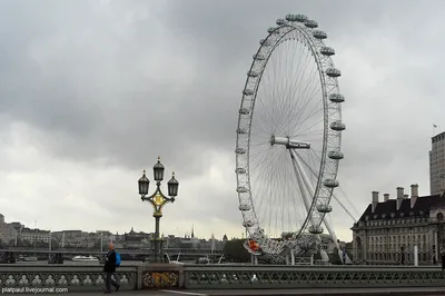 The London eye (Лондонский глаз). — Фото №199422