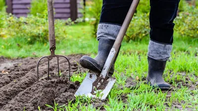 Лопата штыковая Garten Edel прямой ковш - купить в Москве по цене 1 890.00  ₽ в магазине Кемпинг.ру