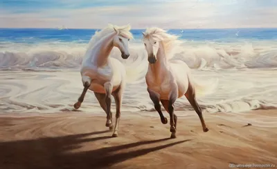 Лошади с острова Сейбл: Почти 300 лет популяция лошадей выживает на узкой  песчаной косе посреди океана. Как они изменились? | Книга животных | Дзен