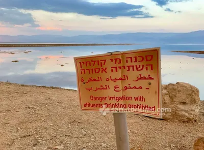 Тур на отдых в отеле Lot Dead Sea 4* в Мертвое Море, Израиль, цены на  путевки, фото, отзывы — Join UP!