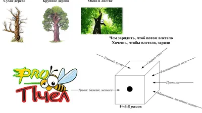 Ловушка для роевых пчел (на 6 рамок \"Рута\") | Магазин пчеловодства  \"Пчеловод КОМ\"