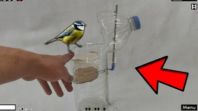 Как сделать ловушку для птиц из 5 литровой бутылки. Ловушка для птиц из  бутылки - YouTube