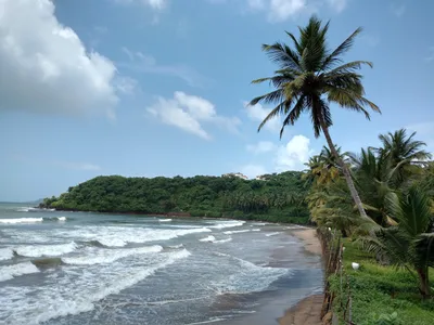 Лучшие пляжи Шри Ланки без волн для отдыха — Яндекс Путешествия