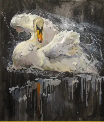 Лебедь-шипун является королевской птицей | Пикабу