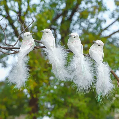 Улар: лучшие изображения птиц для вашего блога | Улар Фото №18776 скачать