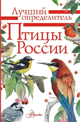 Птицы России. Определитель. Волцит П., Мосалов А. - «Серия \"Лучший  определитель\", а определитель далеко не лучший и точно не универсальный» |  отзывы