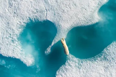 Лучшие и завораживающие фотографии 2018 года, снятые с помощью квадрокоптера  | Пикабу