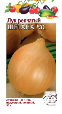 Купить семена Лук Шетана МС 20 гр. в Волгограде c доставкой по России -  «АгроОнлайн»