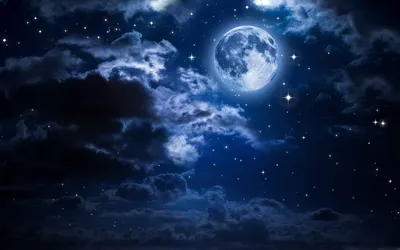 картинки : природа, Луна, небо, полнолуние, Атмосферное явление, Небесное  событие, astronomical object, дневное время, окружающая среда, атмосфера,  Красоту, лунный свет, Астрономия, мероприятие, облако, Полночь, дерево,  Сфера, вечер, пространство ...