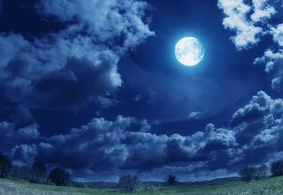 Червивая луна: небо над Петербургом озарило яркое полнолуние в ночь на 8  марта