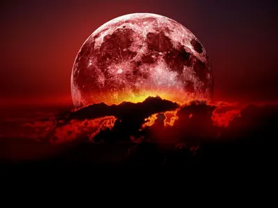 яркая луна фон ночного неба, Луна, небо, огромный фон картинки и Фото для  бесплатной загрузки