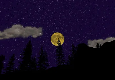 Полная Луна Небо Романтичный - Бесплатное фото на Pixabay - Pixabay