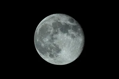 Накануне полнолуния 🌚🌚 Красивая какая луна 😍😍😍 Good night!!! 😴😴  ______🌑______🌑______🌑______ #владивосток #добройночи #луна #небо… |  Instagram