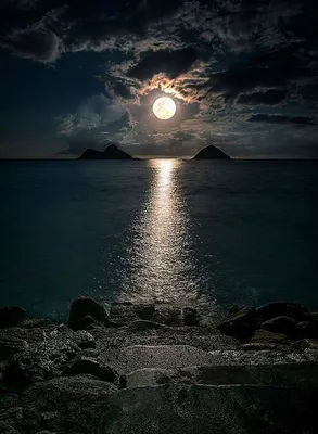 Лунная дорожка на море фото фото