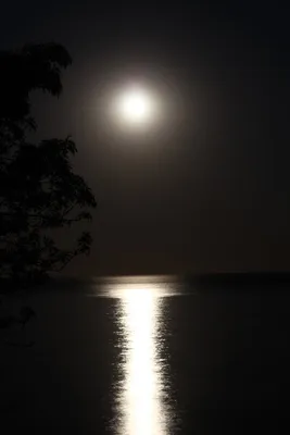 Лунная дорожка на море фото фото