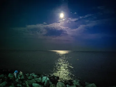 Скачать обои море, ночь, лунная дорожка, раздел пейзажи в разрешении  1920x1080