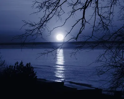 Фотография Лунная дорожка №328939 - «Пейзажи родины моей!» (21.06.2022 -  15:07)
