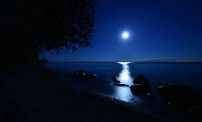 Картина с луной \"Лунная ночь\". Море, лунная дорожка, луна в  интернет-магазине Ярмарка Мастеров по цене 3500 ₽ – OVL8QBY | Картины,  Самара - доставка по России