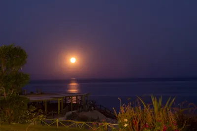 Луна ночь море (64 фото) - 64 фото