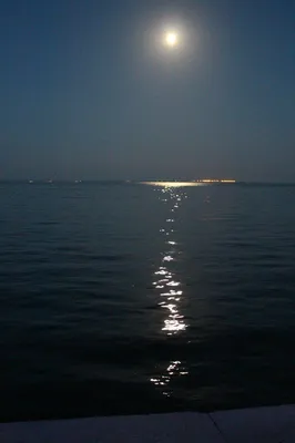 Лунная дорожка в море» — создано в Шедевруме