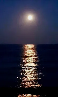 Ночной Пейзаж На Море, Лунная Дорожка Фотография, картинки, изображения и  сток-фотография без роялти. Image 58942526