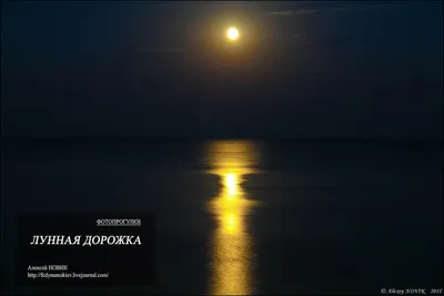 Лунная дорожка. Фотограф Альбина Колодяжная